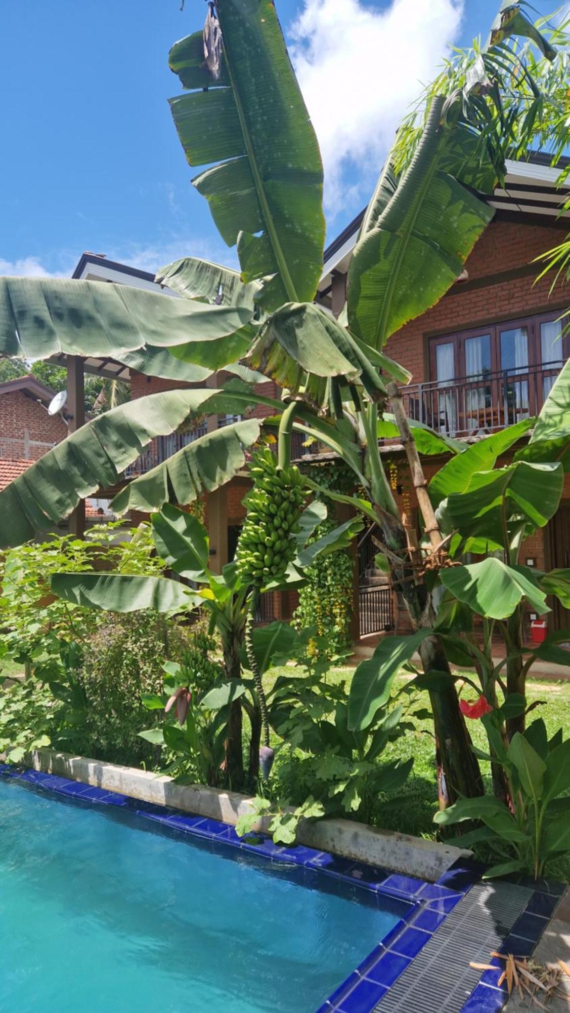 Millet'S Food Company And Cooking Center Hotel Negombo Exterior photo