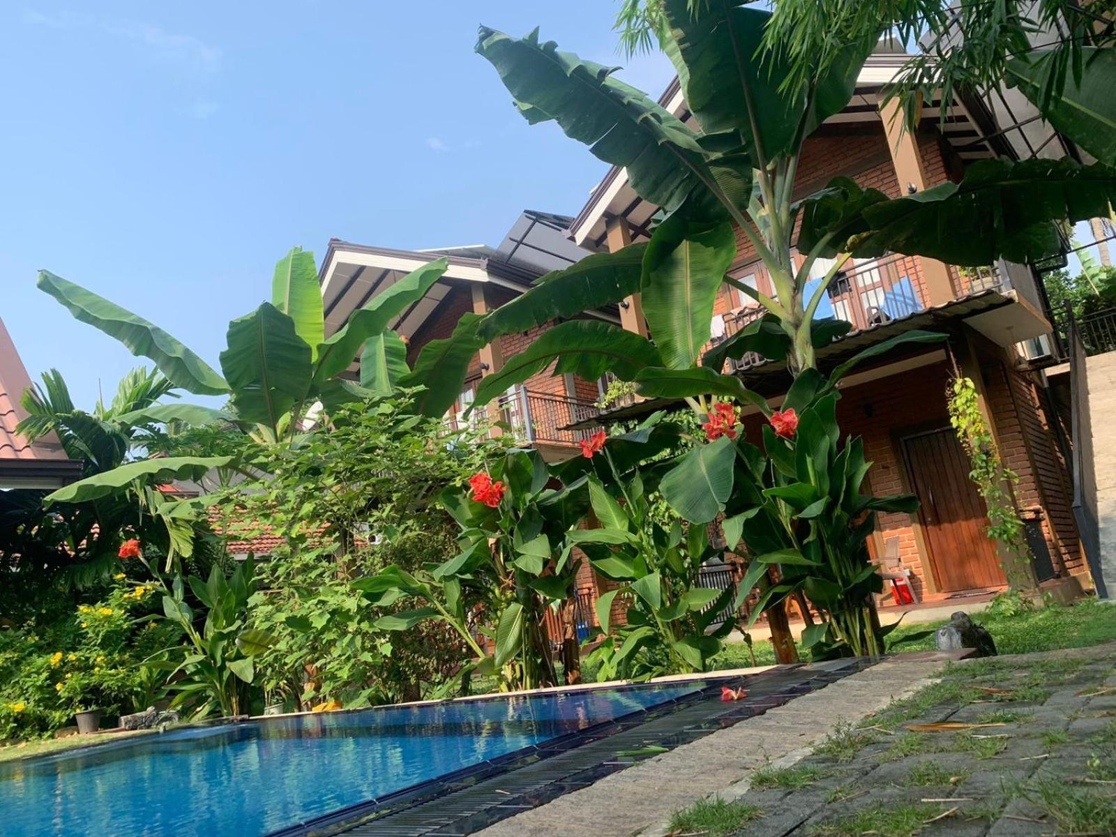 Millet'S Food Company And Cooking Center Hotel Negombo Exterior photo
